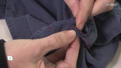 infos & tipps: Ratgeber