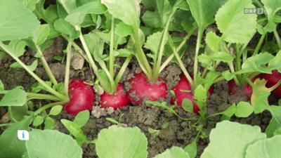 infos & tipps: Ratgeber