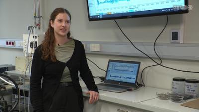 Jobs der Zukunft: Job-Kompass