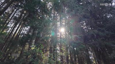 Kärnten heute