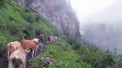 Klimawandel in Vorarlberg - Halb so schlimm oder doch gefährlich?: Erlebnis Österreich