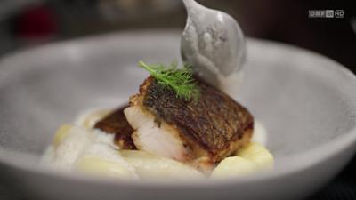 Kulinarium: Rezepte für den kulinarischen Genuss