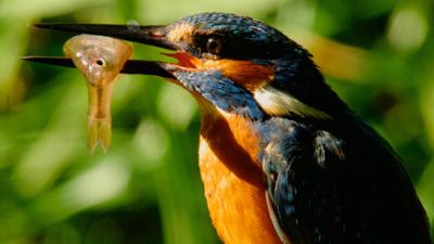 Magische Momente der Natur: Universum