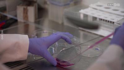 Mayrs Magazin: Wissen für alle