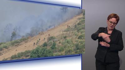 Mayrs Magazin - Wissen für alle: Wissen für alle