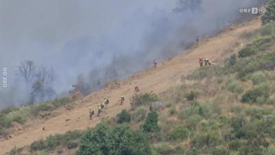 Mayrs Magazin - Wissen für alle: Wissen für alle