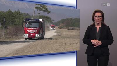 Mayrs Magazin - Wissen für alle