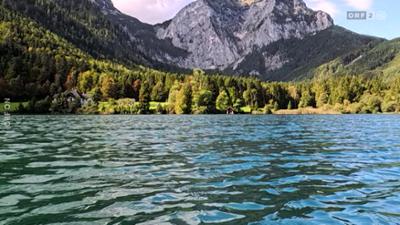 Mayrs Magazin - Wissen für alle: Wissen für alle