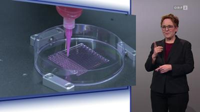 Mayrs Magazin - Wissen für alle