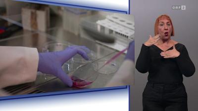 Mayrs Magazin (ÖGS): Wissen für alle