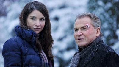 Mord in bester Gesellschaft: Krimi