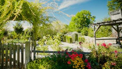 Natur im Garten: Tipps für Hobbygärtner