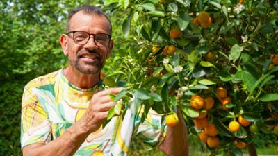 Natur im Garten: Gartentipps von Karl Ploberger
