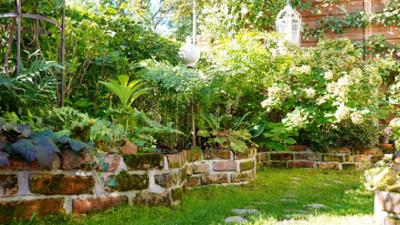 Natur im Garten: Gartentipps von Karl Ploberger