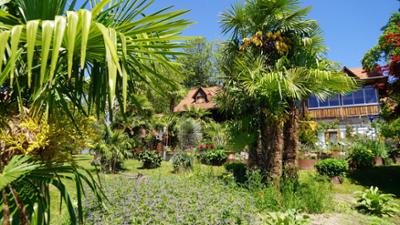 Natur im Garten: Gartentipps von Karl Ploberger
