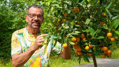 Natur im Garten: Gartentipps von Karl Ploberger