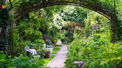 Natur im Garten: Gartentipps von Karl Ploberger