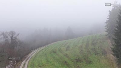 Niederösterreich heute