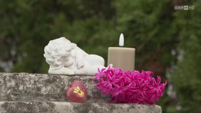 Niederösterreich heute