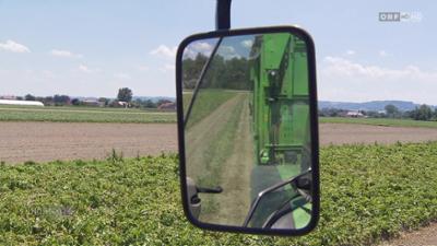 Niederösterreich heute