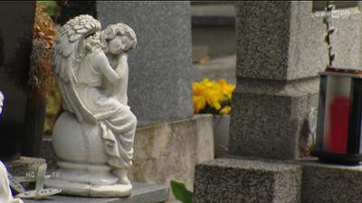 Niederösterreich heute