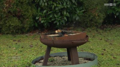 Oberösterreich heute