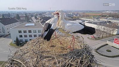 Oberösterreich heute