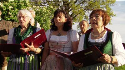 Oberösterreich heute