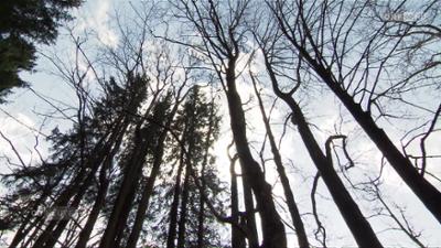 Oberösterreich heute