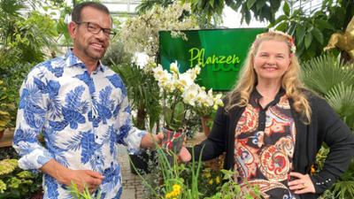 Pflanzendoc: Karl Ploberger hilft bei Gartensorgen