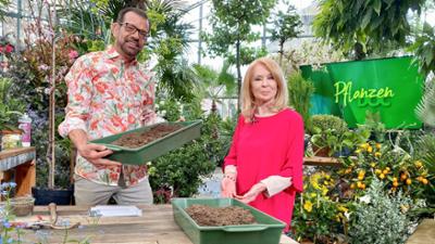Pflanzendoc: Karl Ploberger hilft bei Gartensorgen