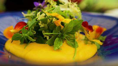 Pflanzerei: Rezepte aus dem eigenen Garten