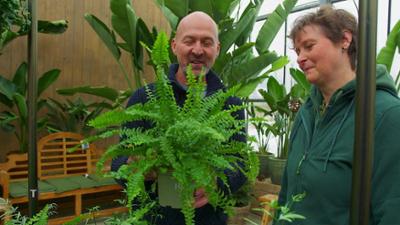 Pflanzerei: Rezepte aus dem eigenen Garten