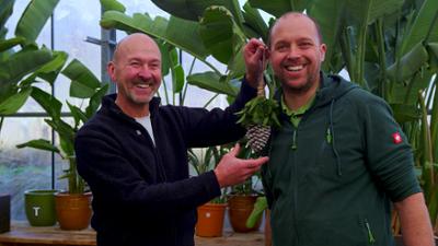 Pflanzerei: Rezepte aus dem eigenen Garten