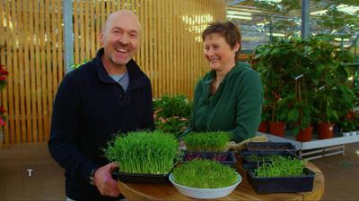 Pflanzerei: Rezepte aus dem eigenen Garten