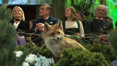 Seitenblicke Weekend