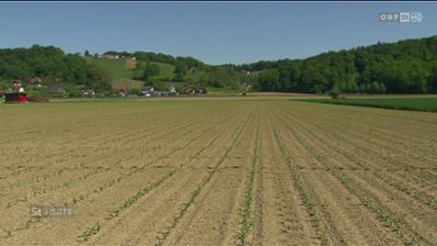 Steiermark heute