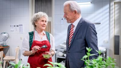 Sturm der Liebe: Telenovela