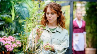 Sturm der Liebe: Telenovela