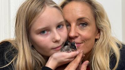 Tiervielfalt bei Lilian Klebow: Die Haustiere der Stars