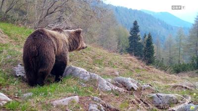 Tirol heute