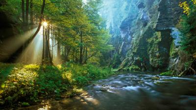 Universum: Geheimnisvolles Tschechien - Ein Land wie im Märchen