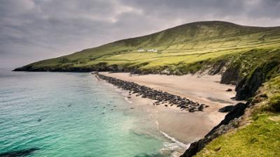 Universum: Wildes Irland: Reise auf die grüne Insel