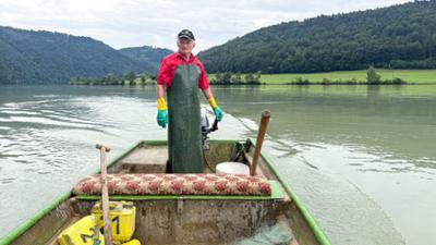 Von Barsch, Nase und Signalkrebsen: Donaufischer in Oberösterreich