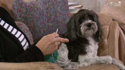 Wien heute: Kunsthandwerk in Wien