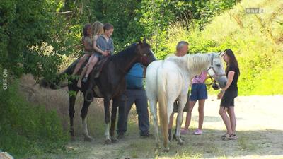WIR - Das Volksgruppenmagazin