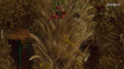 WIR - Das Volksgruppenmagazin