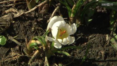 Wohin in Wien?: Veranstaltungstipps