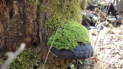 Zurück zur Natur: Reisezeit