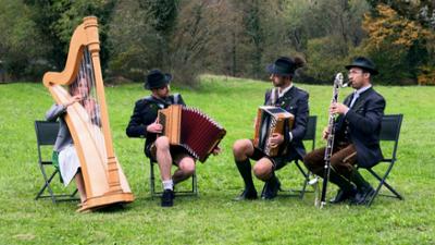 A steirische Musi: Heimat Österreich